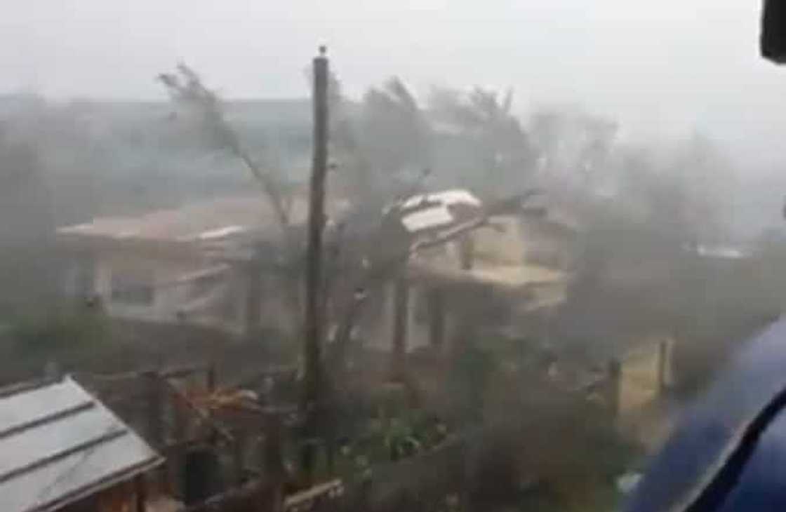 Typhoon Typhoon