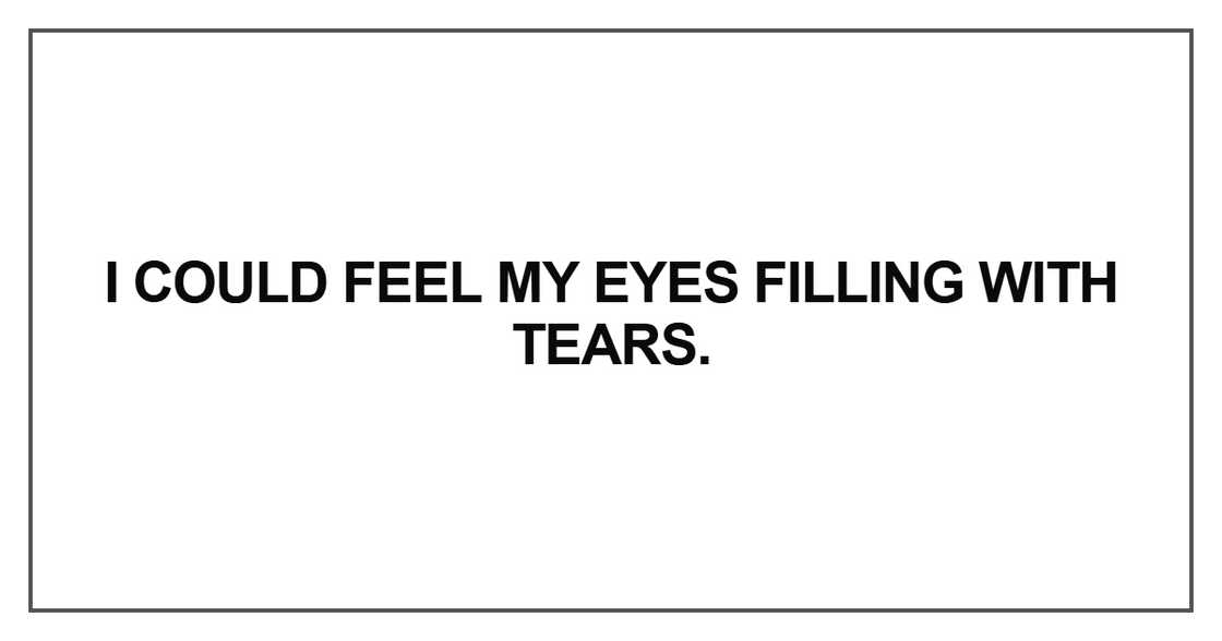 I could feel my eyes filling I could feel my eyes filling