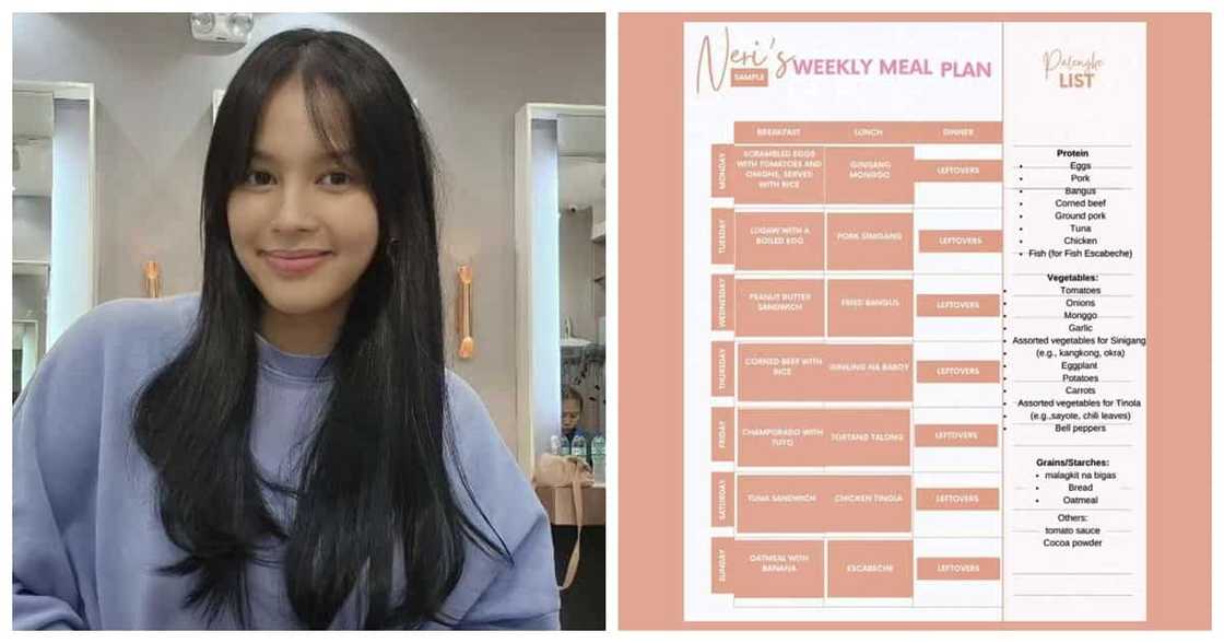 Neri Naig, dinelete na ang P1,000 week meal plan; gagawa ng mas detalyadong plan Neri Naig, dinelete na ang P1,000 week meal plan; gagawa ng mas detalyadong plan