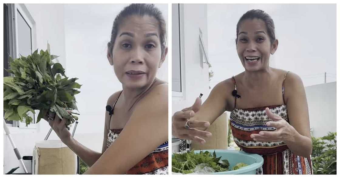 Pokwang, nagpasampol ng P1,000 ulam challenge sa viral video Pokwang, nagpasampol ng P1,000 ulam challenge sa viral video