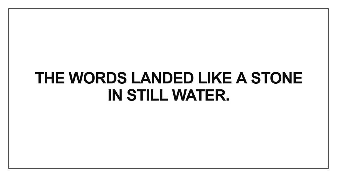 The words landed like a stone