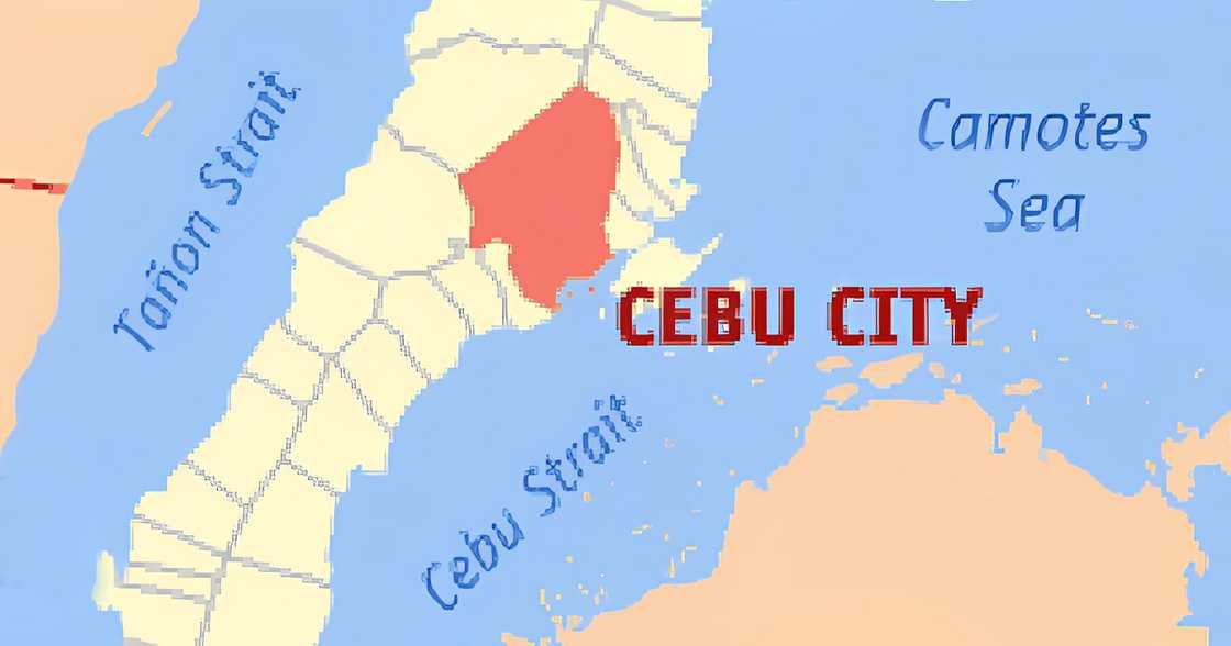 Cebu Archdiocese confirms tragic death of priest; cites mental health breakdown
