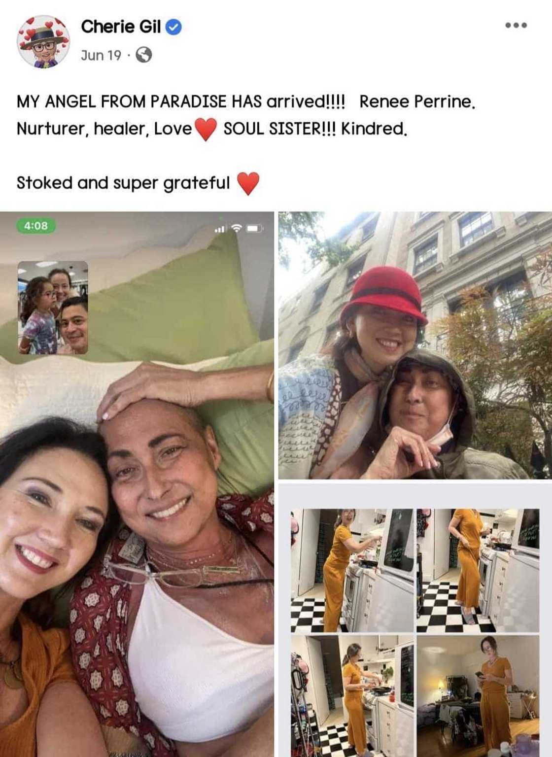 Mga huling posts ni Cherie Gil sa social media, binalikan ng netizens