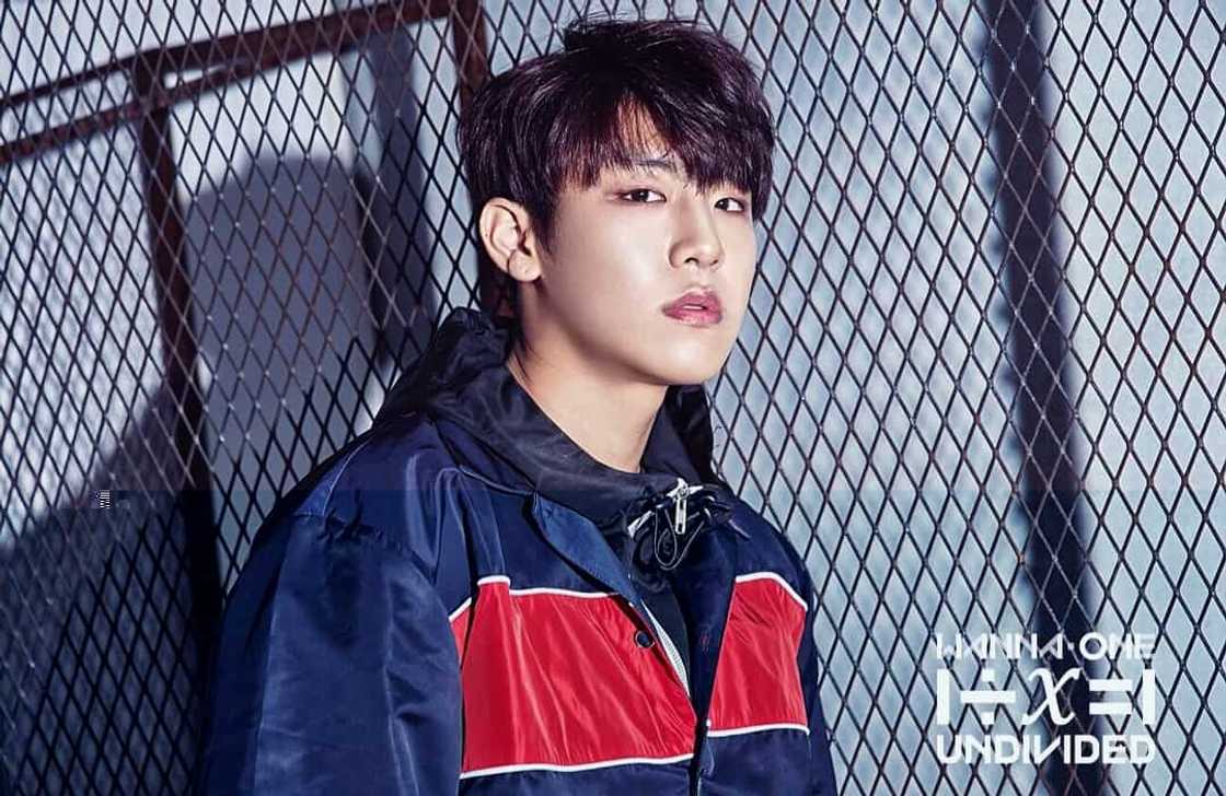 Wanna One members Wanna One members