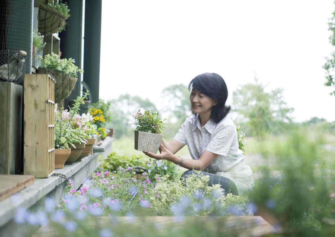 A woman taking care of her garden