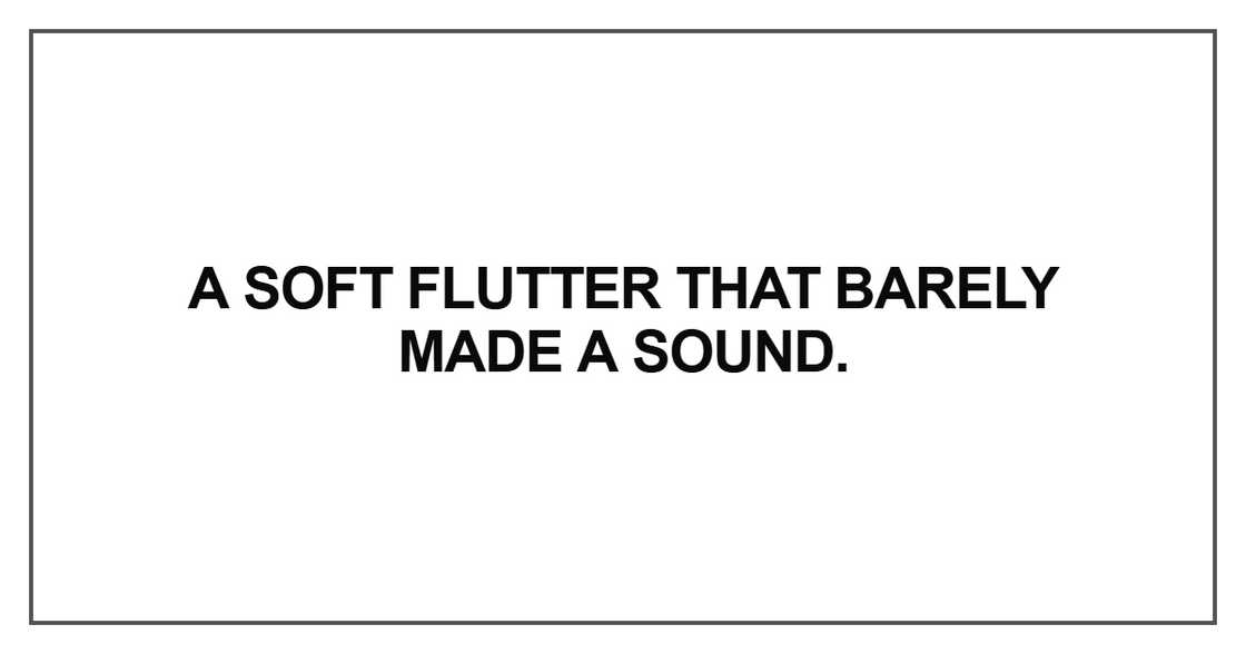 A soft flutter that barely made a sound A soft flutter that barely made a sound