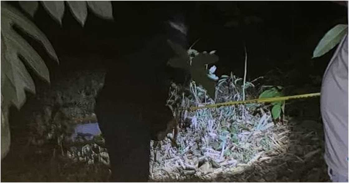 Unang Balita/GMA-7/GMA Integrated News on YouTube Unang Balita/GMA-7/GMA Integrated News on YouTube