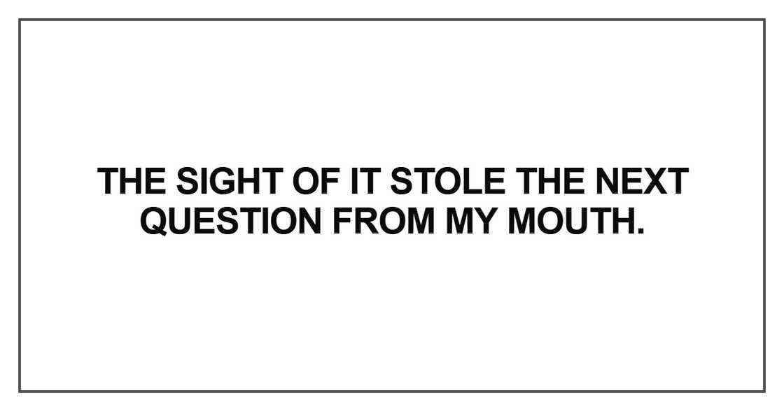 The sight of it stole the next question The sight of it stole the next question