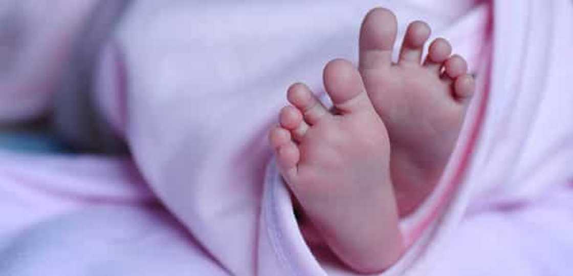 Photo: Pixabay Photo: Pixabay