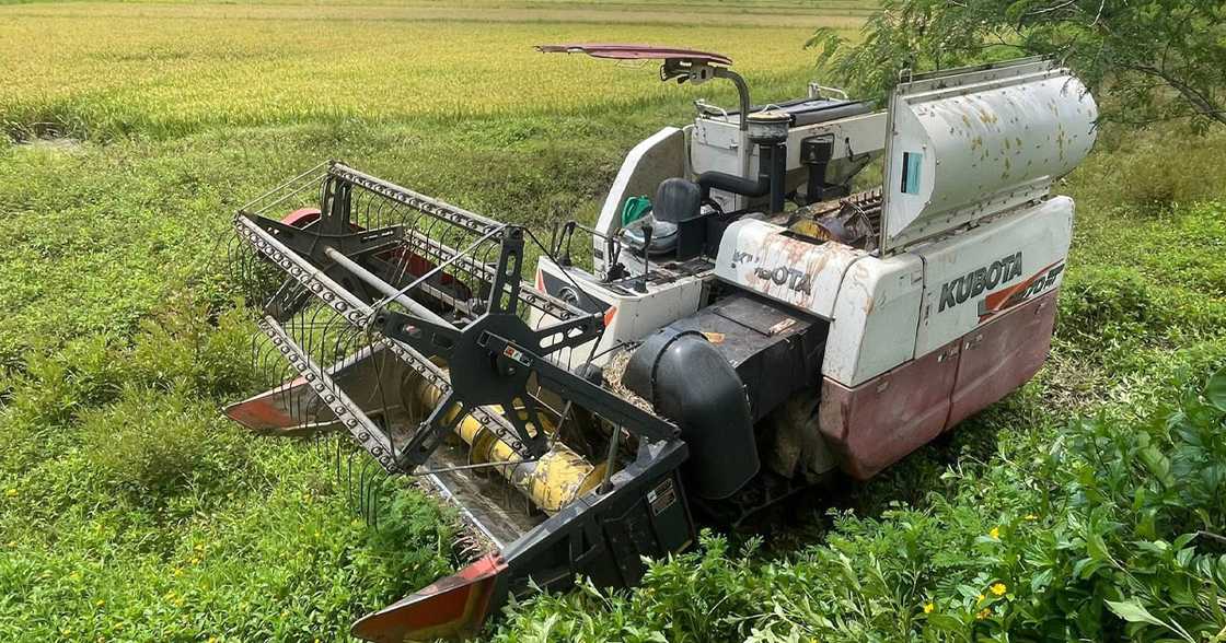 Iloilo farmer dies in horrific accident after being caught by mechanical harvester