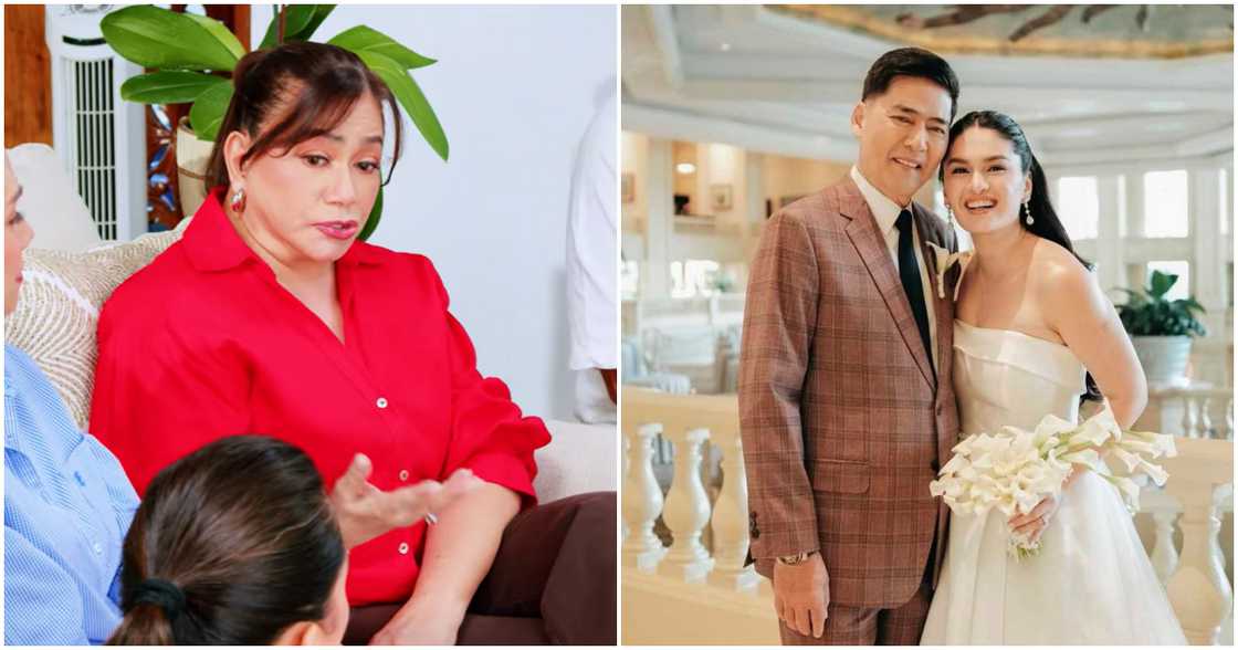 Dina Bonnevie opens up about current relationship with Vic Sotto; mentions Pauleen Luna