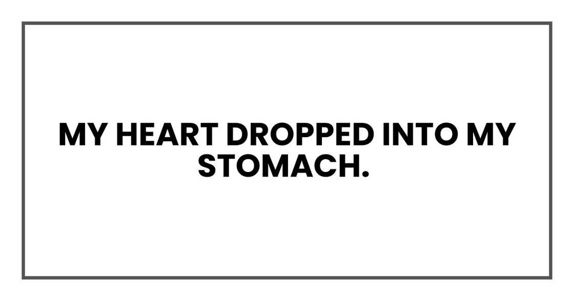 My heart dropped into my stomach My heart dropped into my stomach