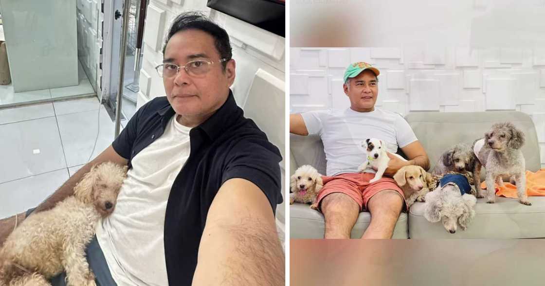 John Arcilla ends 2025 by honoring his beloved pets (@johnarcilla) John Arcilla ends 2025 by honoring his beloved pets (@johnarcilla)