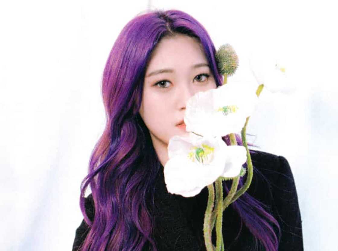 Loona songs Loona songs
