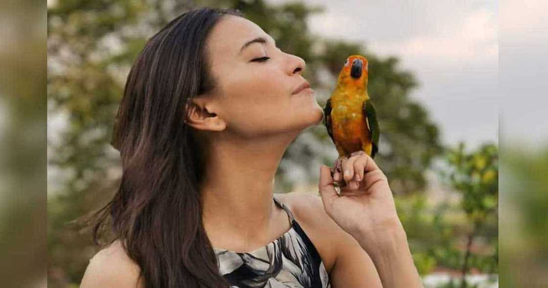 Alessandra De Rossi, ikinalungkot ang pagmumura at pagiging makasarili ng lahat: “hawa sa virus ng kasamaan” Alessandra De Rossi, ikinalungkot ang pagmumura at pagiging makasarili ng lahat: “hawa sa virus ng kasamaan”