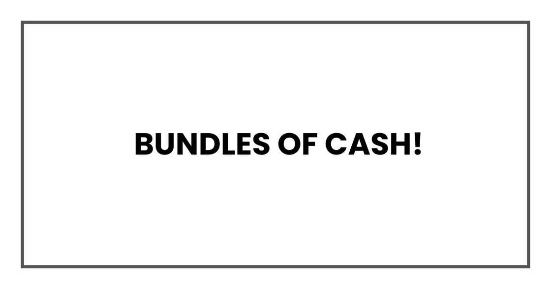 Bundles of cash!