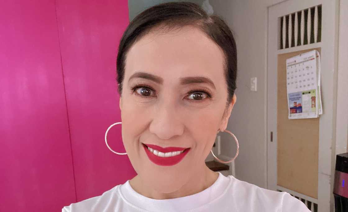 USCIS, pinaboran ang pagbawi ni Ai Ai delas Alas sa petisyon para sa green card ni Gerald Sibayan USCIS, pinaboran ang pagbawi ni Ai Ai delas Alas sa petisyon para sa green card ni Gerald Sibayan