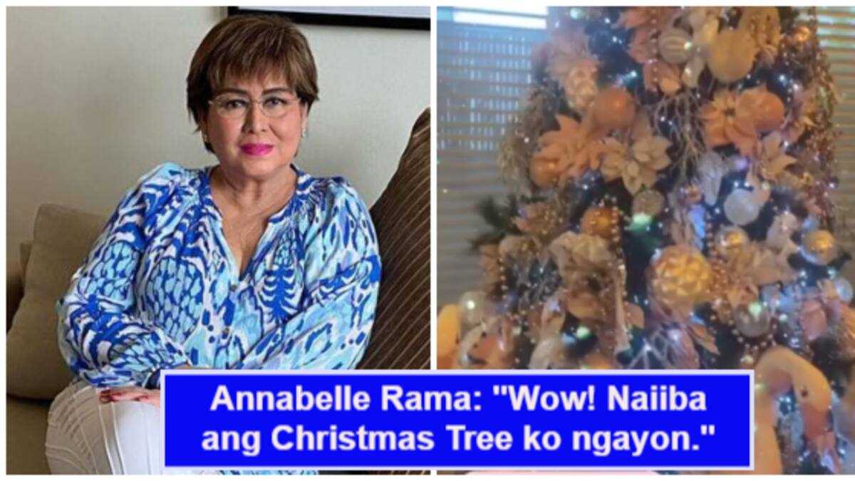 Annabelle Rama, masayang ipinakita ang kanyang bonggang Christmas tree ...
