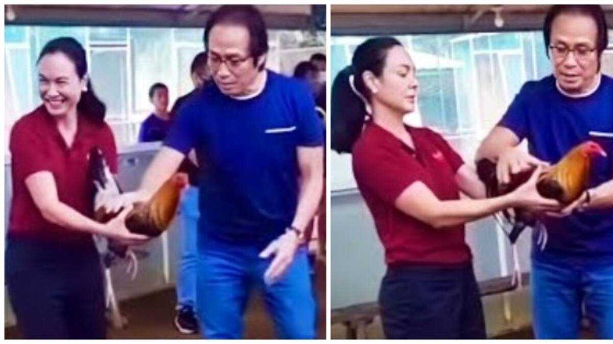Gretchen Barretto, Atong Ang spotted na magkasama sa sabungan - KAMI.COM.PH