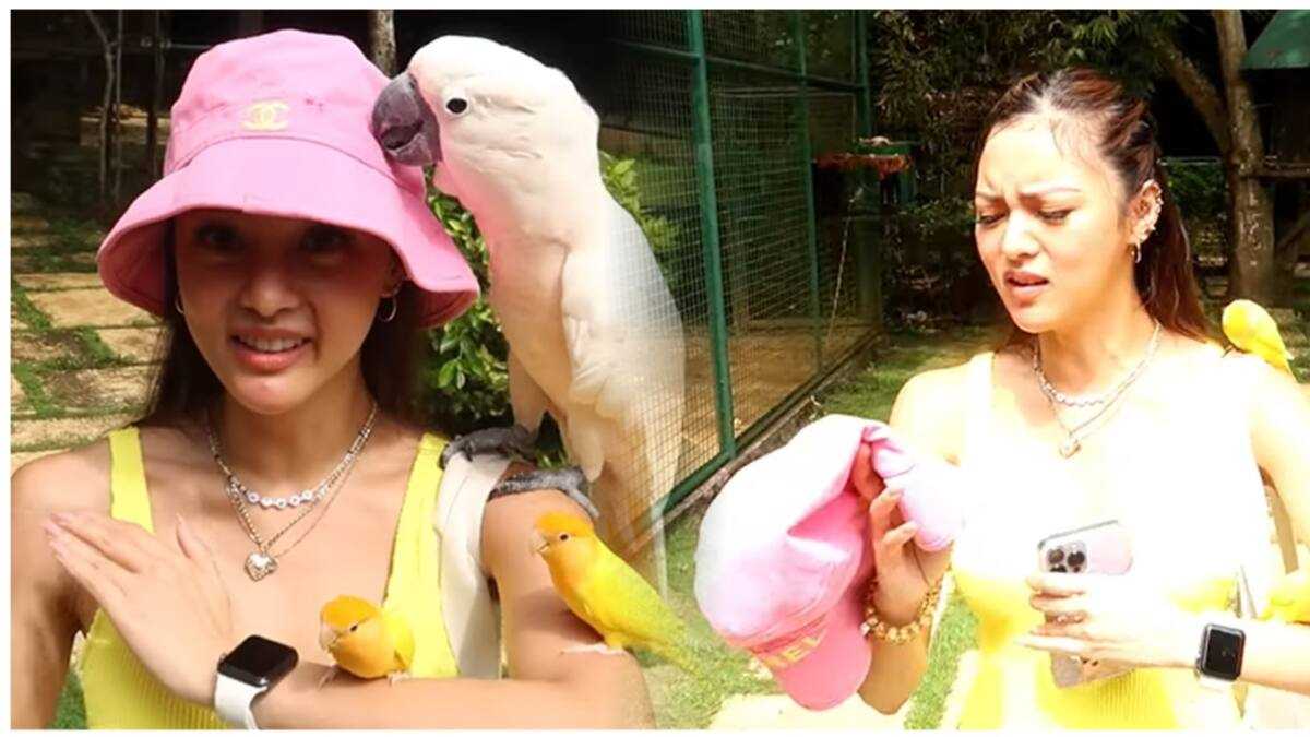 Kim Chiu, nawindang matapos mapunit ang Chanel niyang sombrero - KAMI.COM.PH