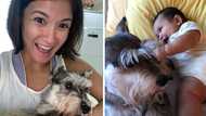 Camille Prats mourns beloved pet dog Gucci’s passing, pays emotional tribute