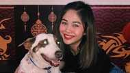 Janella Salvador responds to PA’s accusation; explains no-show on Tulfo’s show