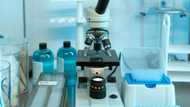 2 estudyante, sugatan matapos ang insidente sa school laboratory