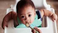 My DIL never let anyone prepare the baby’s food — Then I noticed the same powder