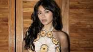 BF ni Nadine Lustre, dinepensahan ang aktres mula sa bastos na comment ng basher