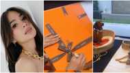 Heart Evangelista flaunts luxury items for her fur babies; netizens react