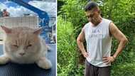 Jose Manalo mourns death of beloved fur baby Cookie