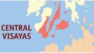 Central Visayas, niyanig ng 4 na lindol sa loob lang ng 30 minutos