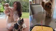 Carla Abellana celebrates her dog Bubbly’s 13th birthday with heartfelt social media post