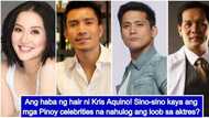 Maraming pina-ibig! 7 Pinoy celebrities who are Kris Aquino's ex-boyfriends