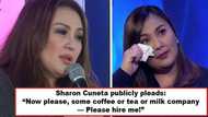 Wala na bang delicadeza si Mega? Sharon Cuneta takes to IG to beg companies for a possible product endorsement and netizens find her act pathetic