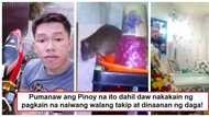 Namatay dahil sa daga! Viral story of Pinoy who died due to leptospirosis shows importance of proper storage of food