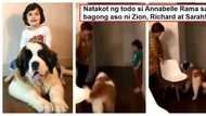 Natakot ang lola! Annabelle Rama gets terrified by new dog of Richard Gutierrez, Sarah Lahbati and their son Zion