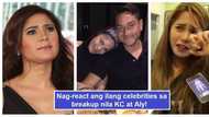 Affected din sila! 6 Pinoy celebrity reactions towards breakup of KC Concepcion and Aly Borromeo