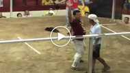 Cocky Pinoy sabungero mocks his defeated opponent by dancing in front of him