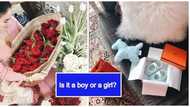 Heart Evangelista sumagot sa tanong ng isang follower tungkol sa kanyang baby gender reveal