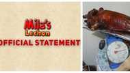 Na-scam daw ang buyer! Official statement of Mila's Lechon over trending lechon photo