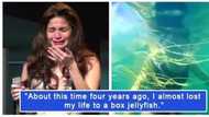 Muntik na daw siyang mamatay! Anne Curtis recalls jellyfish encounter
