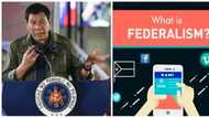 How federalism works: Federal form of government in the Philippines, explained