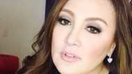 Sharon Cuneta, ipinagdiwang ang wedding anniversary nila ni Kiko Pangilinan sa Japan: “Love you guys”