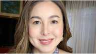 Karla Estrada, Mariel Padilla gush over Marjorie Barretto's stunning pics