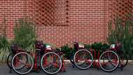 My 12-year-old carried his wheelchair-bound friend — Then the principal called me in panic