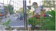 Ama na bitbit ang anak sa pagtatrabaho, natulungan ng napadaang vlogger