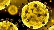Coronavirus, makakahawa sa tao higit 6-feet ang layo, ayon sa mga eksperto