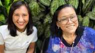 Lolit Solis speculates on why big stars’ endorsement of politicians failed