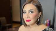 Sharon Cuneta sa basher: "Tumigil na kayo at di kayo nakakatulong"